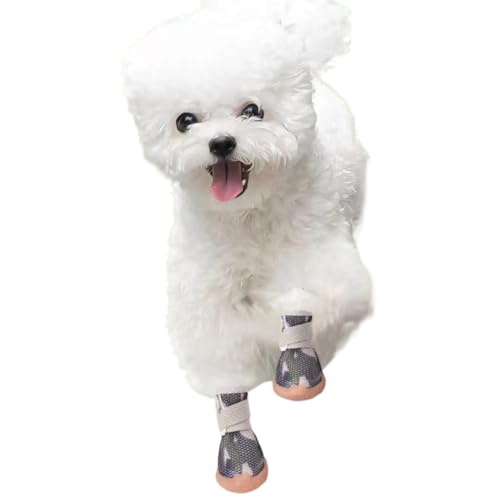 Paipeper Hundeschuhe für kleine Hunde, atmungsaktive Hundestiefel, Haustierpfotenschutz für heißen Bürgersteig und Winterschnee, Spaziergänge im Freien und Hartböden im Innenbereich (Khaki, Größe 2) Paipeper Hundeschuhe für kleine Hunde, atmungsaktive Hundestiefel, Haustierpfotenschutz für heißen Bürgersteig und Winterschnee, Spaziergänge im Freien und Hartböden im Innenbereich (Khaki, Größe 2) von Paipeper
