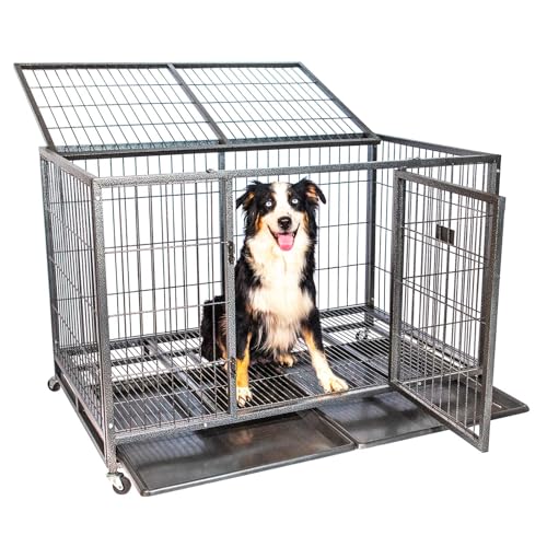 Paitsy BewegungsdyXL Hundekäfig für drinnen und draußen, 123 x 79 x 84 cm, Transportbox, feststellbare Räder, faltbar, 2 Türen, abnehmbare Platte Paitsy BewegungsdyXL Hundekäfig für drinnen und draußen, 123 x 79 x 84 cm, Transportbox, feststellbare Räder, faltbar, 2 Türen, abnehmbare Platte von Paitsy