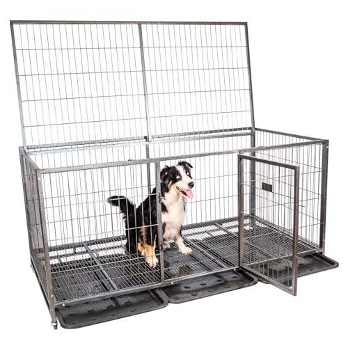 Paitsy mouvement dy2XL Hundekäfig für drinnen und draußen, 180 x 93 x 89 cm, Transportbox, feststellbare Räder, faltbar, 2 Türen, abnehmbare Platte Paitsy mouvement dy2XL Hundekäfig für drinnen und draußen, 180 x 93 x 89 cm, Transportbox, feststellbare Räder, faltbar, 2 Türen, abnehmbare Platte von Paitsy