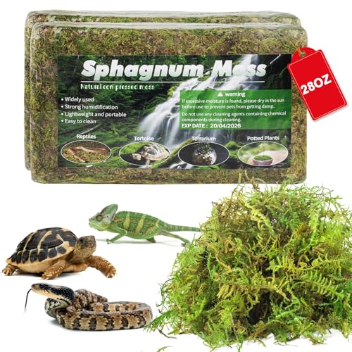 100QT Premium Torfmoos für Reptilien - 28oz Naturmoos Reptilienmoos Bettwäsche für Terrarium, Schlüpfen, Waldtorfmoos Reptiliensubstrat für Schlangen, Gecko, Schildkröten, Frösche, Leopard 100QT Premium Torfmoos für Reptilien - 28oz Naturmoos Reptilienmoos Bettwäsche für Terrarium, Schlüpfen, Waldtorfmoos Reptiliensubstrat für Schlangen, Gecko, Schildkröten, Frösche, Leopard von Pakimi