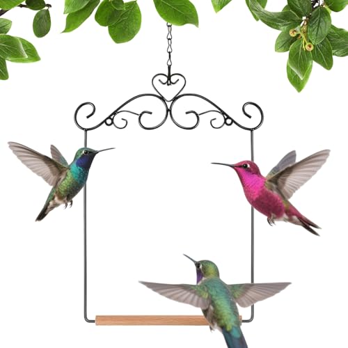 Palaufr Kolibri Schaukeln Und Sitzstangen - Aufhängbare Sitzstange Für s | Käfigschaukel Spielplatz Ständer Für Vogel Ara Unzertrennlicher Sittich Innen Außen Rasen Terrasse Baumstamm von Palaufr