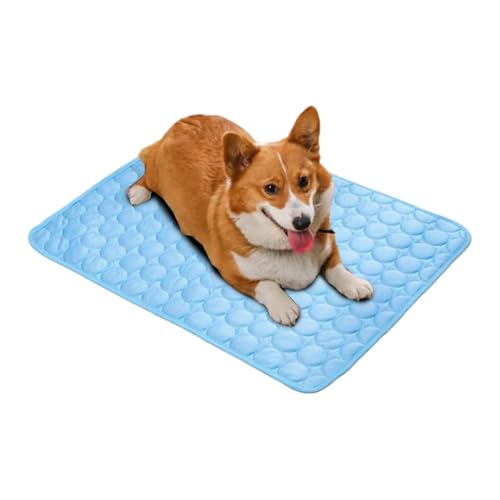 Palaufr Pet Cooling Mat | Kühlmatten Aus Eiskunstseide Für Hunde - Atmungsaktive Sommer Bettwäsche Für Haustiere Waschbar Für Sofa Boden Wohnmobilsitz Camping Reisen Palaufr Pet Cooling Mat | Kühlmatten Aus Eiskunstseide Für Hunde - Atmungsaktive Sommer Bettwäsche Für Haustiere Waschbar Für Sofa Boden Wohnmobilsitz Camping Reisen von Palaufr