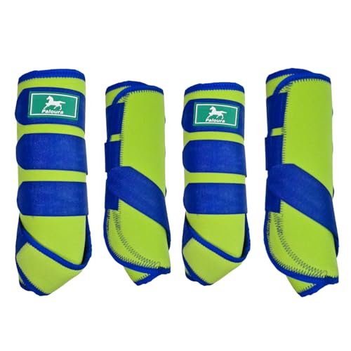 Paloura Equine Sport Pferdestiefel, Neopren-Beinschutz mit strapazierfähigen Klettverschlüssen, atmungsaktiv und bequeme Passform für Training, Reiten und Performance, Grün, Größe L, 4 Stück Paloura Equine Sport Pferdestiefel, Neopren-Beinschutz mit strapazierfähigen Klettverschlüssen, atmungsaktiv und bequeme Passform für Training, Reiten und Performance, Grün, Größe L, 4 Stück von Paloura