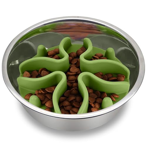Palz&Co Paw Puzzles Slow Feeder Hundenapfeinsatz für große Futternäpfe - 14 cm rund, Grün Palz&Co Paw Puzzles Slow Feeder Hundenapfeinsatz für große Futternäpfe - 14 cm rund, Grün von Palz&Co