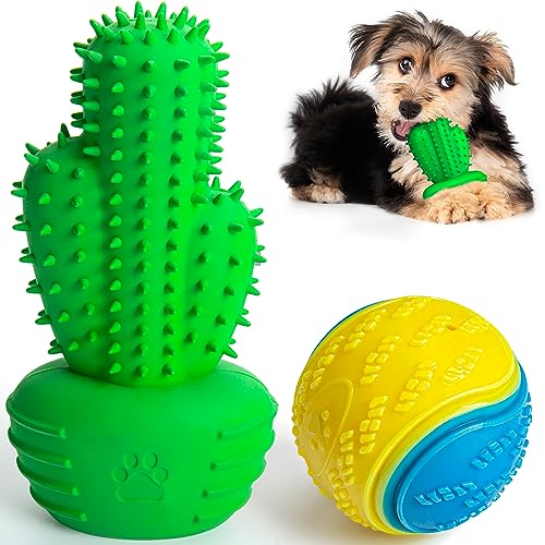 Kauspielzeug für Hunde + Hundeball-Set, Kaktus, robustes Spielzeug, interaktives Spielzeug zum Trainieren der Zähne, für kleine Hunde bis zu 6,8 kg von Pamlulu