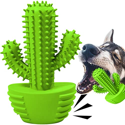 Pamlulu Hundespielzeug, unzerstörbar, robust, quietschend, Kauspielzeug für aggressive Kauer, große mittelgroße Hunde, 100 % Naturkautschuk (Kaktus) von Pamlulu