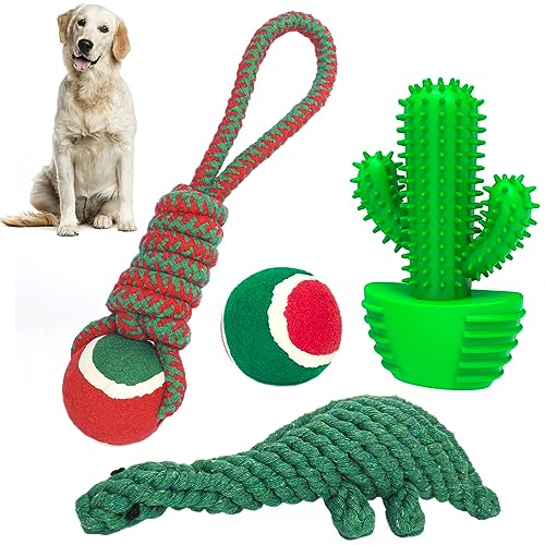 Pamlulu Hundespielzeug-Set 4-in-1, beinhaltet 1 x Kaktus-Kauspielzeug, 1 x Fußball, 1 x Hundespielzeug, 1 x Plüsch-Dinosaurier-Spielzeug von Pamlulu