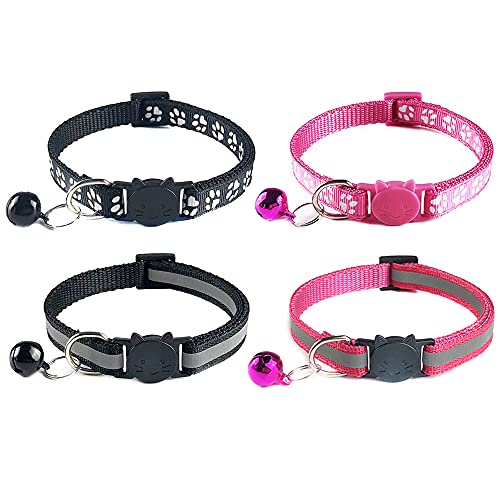 Pamtns Katzenhalsband 2 Stück Reflektierend Katzenhalsband mit Sicherheitsverschluss und Glöckchen Katzen Halsbänder Personalisiertes Katzenhalsband Katzenhalsband Sicherheitsverschluss Pamtns Katzenhalsband 2 Stück Reflektierend Katzenhalsband mit Sicherheitsverschluss und Glöckchen Katzen Halsbänder Personalisiertes Katzenhalsband Katzenhalsband Sicherheitsverschluss von Pamtns