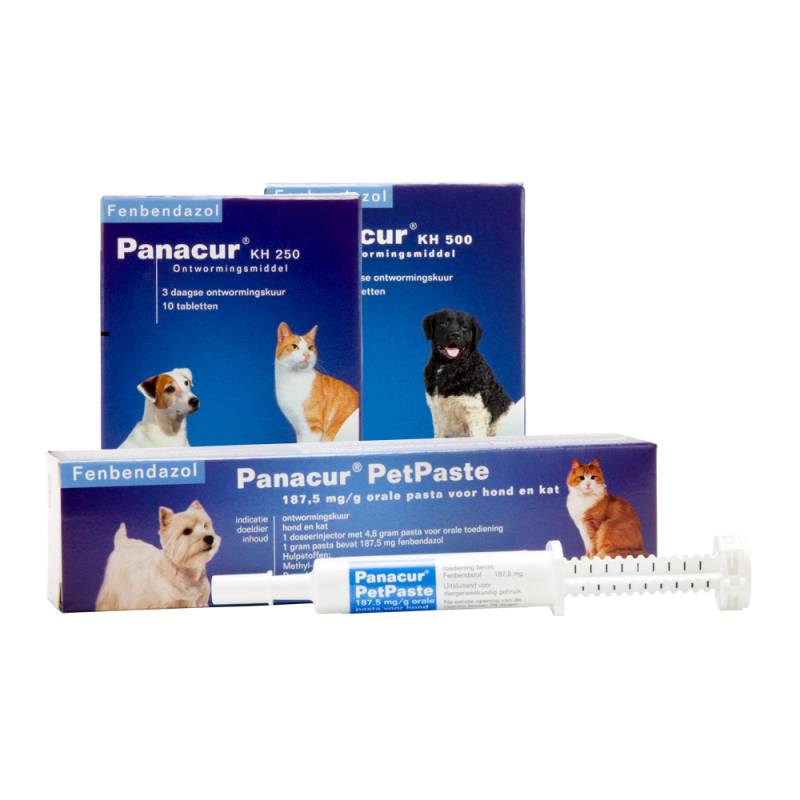 Panacur PetPaste - 3 x 1 Injektor von Panacur