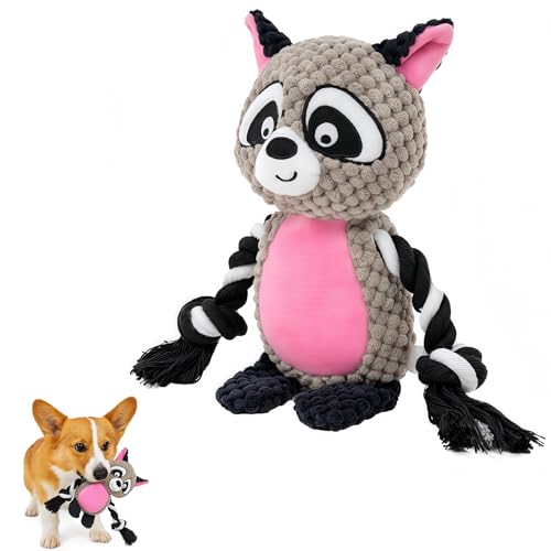 PandySarp Plüsch Waschbär Hundespielzeug mit Seilarmen, Quietschendes interaktives Haustierspielzeug, für kleine und mittelgroße Hunde PandySarp Plüsch Waschbär Hundespielzeug mit Seilarmen, Quietschendes interaktives Haustierspielzeug, für kleine und mittelgroße Hunde von PandySarp