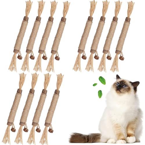 PangWuu 12 Stück Katzen-Spielzeug Set, Katzenminze Sticks und Fummelbrett für Katzen, Natürliche Zahnpflege und Spielspaß für Ihre Katze, Ideal für Katzenzahnpflege und Stimulation PangWuu 12 Stück Katzen-Spielzeug Set, Katzenminze Sticks und Fummelbrett für Katzen, Natürliche Zahnpflege und Spielspaß für Ihre Katze, Ideal für Katzenzahnpflege und Stimulation von PangWuu