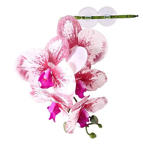 Pangea Reptilien-Orchidee zum Aufhängen, für Terrarien, Weiß von Pangea