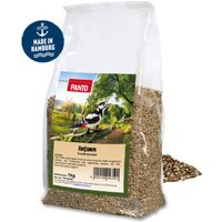 Panto Hanfsamen 1kg von Panto