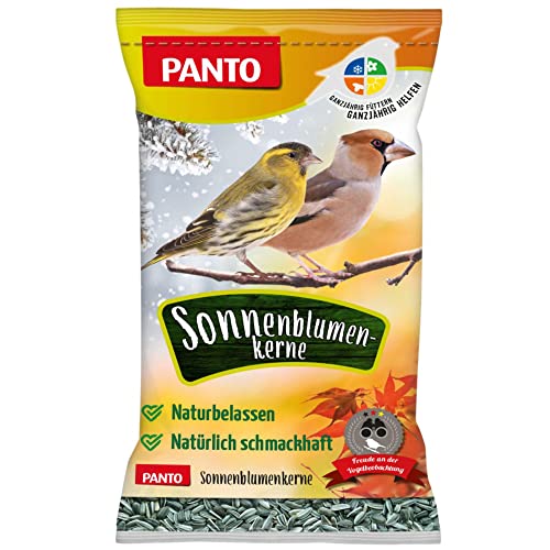 PANTO® Wildvogelfutter, Sonnenblumenkerne 2.5 kg, 4er Pack (4 x 2.5 kg) von PANTO