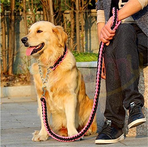 Heavy Duty Hund Geflochten Halsband und Leine – Gear Martingal verstellbar choke-style Hund Halsband –, die Solide handgefertigt Seil Leine von Pany Pamy