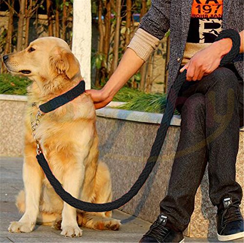 Heavy Duty Hund Geflochten Halsband und Leine – Gear Martingal verstellbar choke-style Hund Halsband –, die Solide handgefertigt Seil Leine von Pany Pamy