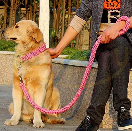 Heavy Duty Hund Geflochten Halsband und Leine – Gear Martingal verstellbar choke-style Hund Halsband –, die Solide handgefertigt Seil Leine von Pany Pamy