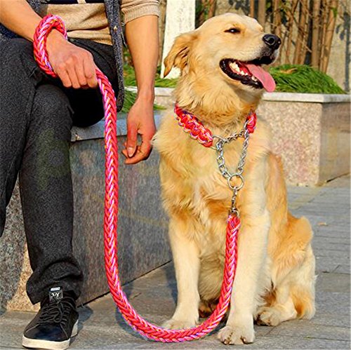 Pany Pamy Heavy Duty Hund Geflochten Halsband und Leine – Gear Martingal verstellbar Choke-Style Hund Halsband –, die Solide handgefertigt Seil Leine von Pany Pamy