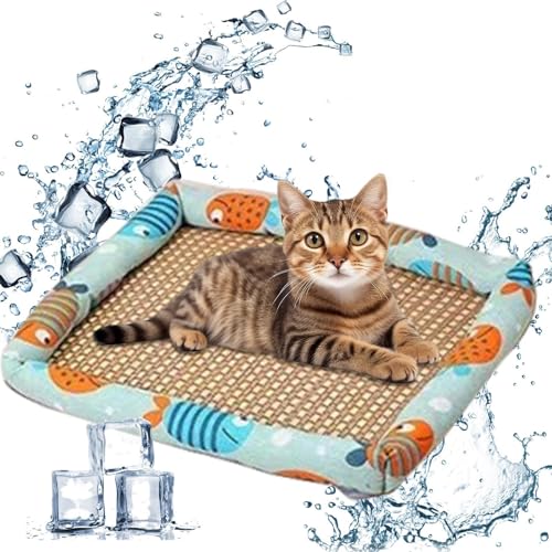 Paodduk Kühlbett aus Eisrattan, Kühlmatten für Haustiere - Eiskühles Sommerkomfort-Haustierbett - Bequeme und kühle Schlafplatz-Sommer-Katzenunterlage für kleine Hunde, kleine Haustiere, Katzen von Paodduk