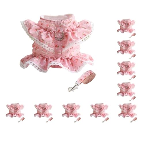 10-teiliges Set für Haustierkleidung, Leine, Arbeits-, Laufkontrolle, Freizeitweste, Geschirr, elastisch, wildes Halfter, Park, Party, Urlaub, Größe M 10-teiliges Set für Haustierkleidung, Leine, Arbeits-, Laufkontrolle, Freizeitweste, Geschirr, elastisch, wildes Halfter, Park, Party, Urlaub, Größe M von Paowsietiviity