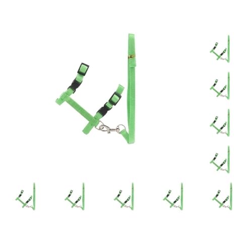 10er-Set Hundeleine für Haustiere, einfarbig, Halsband, Geschirr, Schnur, bequem, wiederverwendbar, tragbar, Ersatz, ausbruchsicher, Grün 10er-Set Hundeleine für Haustiere, einfarbig, Halsband, Geschirr, Schnur, bequem, wiederverwendbar, tragbar, Ersatz, ausbruchsicher, Grün von Paowsietiviity