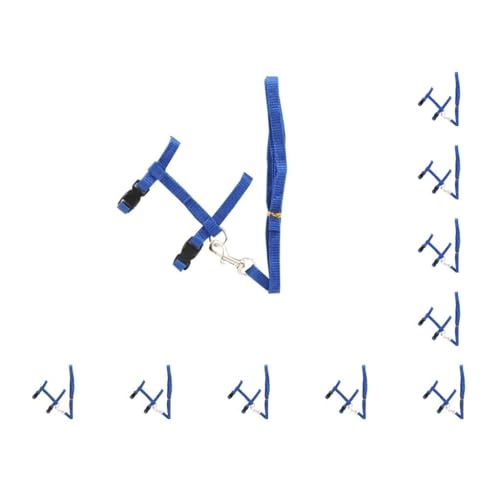 10er-Set Hundeleine für Haustiere, einfarbig, verstellbare Schnalle, Halsband, Seil, Outdoor-Geschirr, Schnur, bequem, tragbar, Ersatz, Blau 10er-Set Hundeleine für Haustiere, einfarbig, verstellbare Schnalle, Halsband, Seil, Outdoor-Geschirr, Schnur, bequem, tragbar, Ersatz, Blau von Paowsietiviity