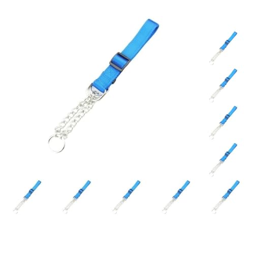 10er-Set Metall-Halsbänder für Haustiere, wiederverwendbar, universeller Ersatz, verstellbar, Camping, Wandern, Spielen, Abschleppen, Halsband, Zubehör, Nylon, Blau 10er-Set Metall-Halsbänder für Haustiere, wiederverwendbar, universeller Ersatz, verstellbar, Camping, Wandern, Spielen, Abschleppen, Halsband, Zubehör, Nylon, Blau von Paowsietiviity