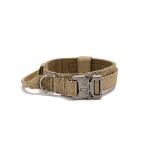 Haustier-Polyester-Halsband, verstellbare Schnalle, Halsband, Anti-Verlust-Hals, Sport-Trainingszubehör für Garten, Hinterhof, Größe M Haustier-Polyester-Halsband, verstellbare Schnalle, Halsband, Anti-Verlust-Hals, Sport-Trainingszubehör für Garten, Hinterhof, Größe M von Paowsietiviity