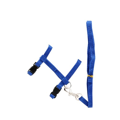 Hundeleine für Haustiere, einfarbig, verstellbare Schnalle, Halsband, Seil, Outdoor-Geschirr, Schnur, bequem, tragbar, Ersatz, Blau Hundeleine für Haustiere, einfarbig, verstellbare Schnalle, Halsband, Seil, Outdoor-Geschirr, Schnur, bequem, tragbar, Ersatz, Blau von Paowsietiviity