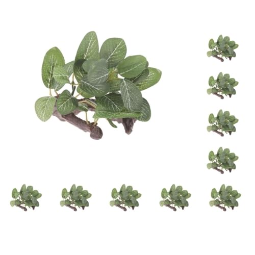 Paowsietiviity Künstliche Wassergraspflanze aus Kunstharz, für Reptilien oder Aquarien, Grün, Typ 1, Stil 1, 10 Stück von Paowsietiviity