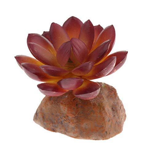 Paowsietiviity Sukkulente Pflanze mit Harzsockel Reptilien-Terrarium Vivarium Ornament 1, qm-12 von Paowsietiviity