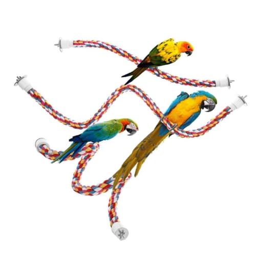 Papageienspielzeug Baumwollseil Hängende Geflochtene Haustierständer Training Beißschaukel Drehleiter Schnur für kleine und mittelgroße Vögel 80cm von Paowsietiviity