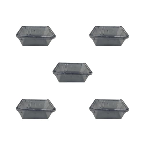 Reptilien-Zuchtbox, Spinnen-Fütterung, Schlüpfbehälter, Kunststoff, Schwarz, 5 Stück Reptilien-Zuchtbox, Spinnen-Fütterung, Schlüpfbehälter, Kunststoff, Schwarz, 5 Stück von Paowsietiviity