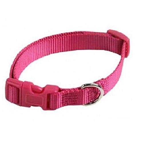 Papillon Pet Products Halsband verstellbar aus Nylon. 15 mm 3 – 40 cm. Farbe Pink von Papillon