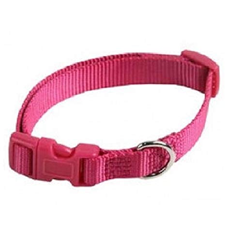 Papillon Pet Products Halsband verstellbar aus Nylon. 15 mm 3 – 40 cm. Farbe Pink Papillon Pet Products Halsband verstellbar aus Nylon. 15 mm 3 – 40 cm. Farbe Pink von Papillon