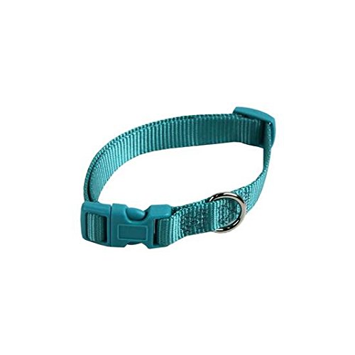 Papillon Verstellbares Halsband aus Nylon, 25 mm – 70 cm, Farbe Türkis Papillon Verstellbares Halsband aus Nylon, 25 mm – 70 cm, Farbe Türkis von Papillon