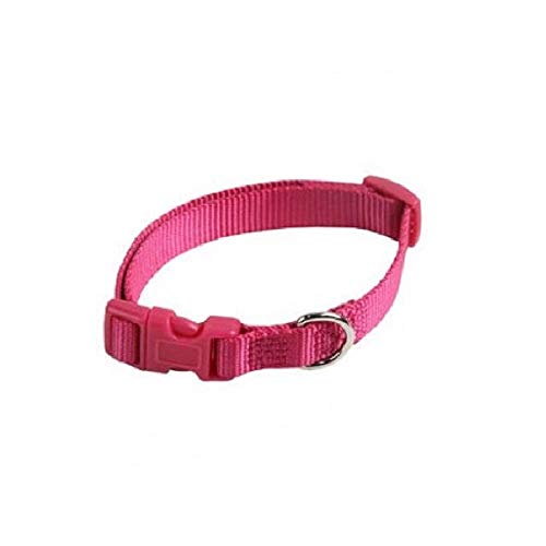 Verstellbares Halsband aus Nylon, 20 mm - 55 cm, Farbe: Rosa Verstellbares Halsband aus Nylon, 20 mm - 55 cm, Farbe: Rosa von Papillon