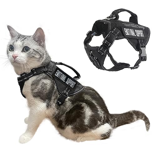 Papipets Taktisches Katzengeschirr, verstellbar, weich gepolstert, für Training, Spazierengehen, Esacpe, Katzenweste, Geschirr, kein Ziehen, reflektierend, mit einfachem Griff, Größe XL Papipets Taktisches Katzengeschirr, verstellbar, weich gepolstert, für Training, Spazierengehen, Esacpe, Katzenweste, Geschirr, kein Ziehen, reflektierend, mit einfachem Griff, Größe XL von Papipets