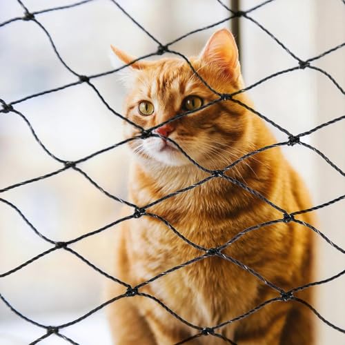 Parain Katzennetz für Balkon Fenster Drahtverstärkt Katzenschutznetz Robustes Schutznetz 4x2m Parain Katzennetz für Balkon Fenster Drahtverstärkt Katzenschutznetz Robustes Schutznetz 4x2m von Parain
