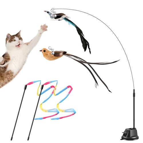 Parain 6 Stück Katzenspielzeug Selbstbeschäftigung Interaktives Vogel Katzen Spielzeug, Katzenangel saugnapf für Katzen Parain 6 Stück Katzenspielzeug Selbstbeschäftigung Interaktives Vogel Katzen Spielzeug, Katzenangel saugnapf für Katzen von Parain