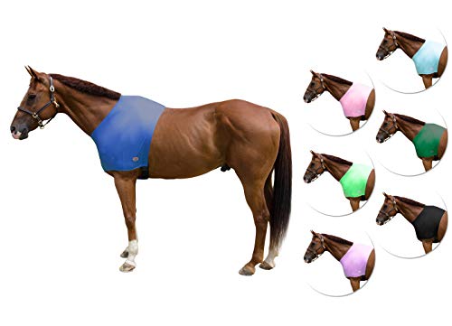Paris Tack Lycra-Stretch-Pferd-Schulterschutz von Paris Tack