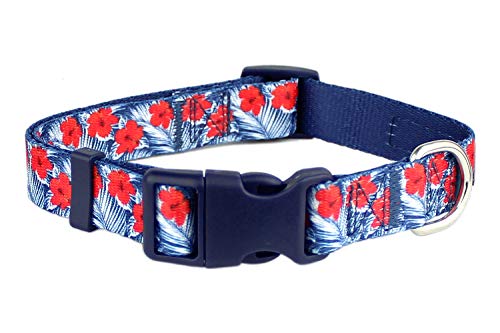Parisian Pet Adjustable Nylon Dog Collar | Hibiscus Blue - Girly Dog Collar | Size - L von Parisian Pet