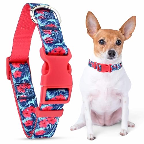 Parisian Pet Adjustable Nylon Dog Collar | Hibiscus Pink - Girly Dog Collar | Size - XS von Parisian Pet