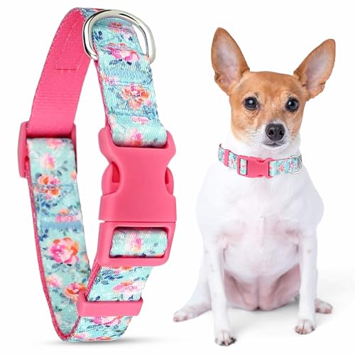 Parisian Pet Adjustable Nylon Dog Collar | Spring Blossoms - Girly Dog Collar | Size - L von Parisian Pet