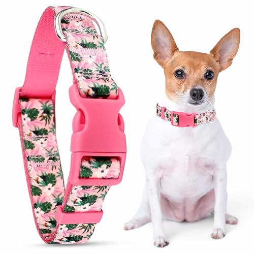 Parisian Pet Adjustable Nylon Dog Collar | Tropical Toucans - Girly Dog Collar | Size - S von Parisian Pet