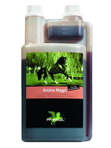 Parisol Amino Magic - 1000 ml von Parisol