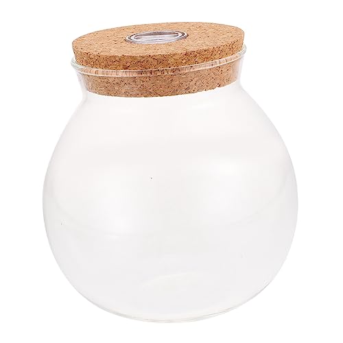 Bunte ökologische Flasche Luftpflanzentöpfe klarer Behälter Kristalldekor leuchtende Terrarienpflanze Moosdekor Mikro-Landschaftsbehälter Landschaft Flasche Wohnkultur Glas Parliky Bunte ökologische Flasche Luftpflanzentöpfe klarer Behälter Kristalldekor leuchtende Terrarienpflanze Moosdekor Mikro-Landschaftsbehälter Landschaft Flasche Wohnkultur Glas Parliky von Parliky