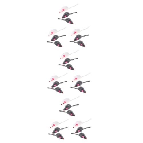 Parliky 3sets Mäuse Katzen Spielzeug Interaktive Mini Plüsch Mäuse Für Kätzchen Robustes Material Katze Teaser Spielzeug 6 Stücke * 3 Parliky 3sets Mäuse Katzen Spielzeug Interaktive Mini Plüsch Mäuse Für Kätzchen Robustes Material Katze Teaser Spielzeug 6 Stücke * 3 von Parliky