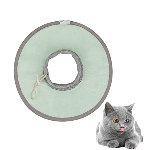 Parliky 1Stk -Katzenhalsband Katzen katzenhalsbänder Katzenhalskragen Katzen-Erholungskegel Hundehalsband petg Anti-Leck-Kragen Haustierwiederherstellungs-Katzenhalsband Parliky 1Stk -Katzenhalsband Katzen katzenhalsbänder Katzenhalskragen Katzen-Erholungskegel Hundehalsband petg Anti-Leck-Kragen Haustierwiederherstellungs-Katzenhalsband von Parliky