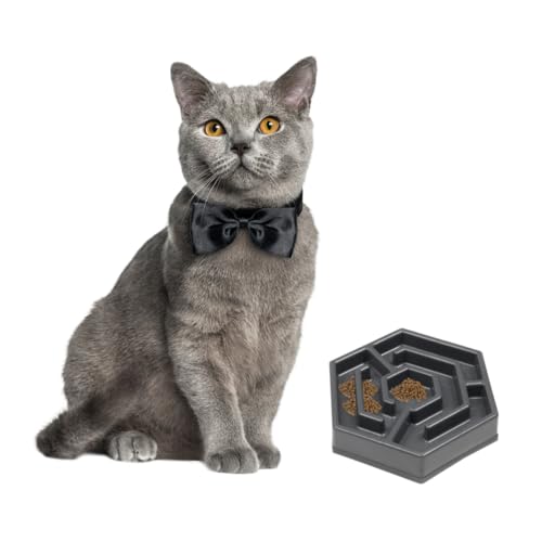Parliky 1Stück Kreative Haustier Schüssel für Langsames Füttern Blütenblatt Förmige Futterschale für Kleine und Katzen rutschfest aus Hochwertigem Harz Fördert Langsames Parliky 1Stück Kreative Haustier Schüssel für Langsames Füttern Blütenblatt Förmige Futterschale für Kleine und Katzen rutschfest aus Hochwertigem Harz Fördert Langsames von Parliky